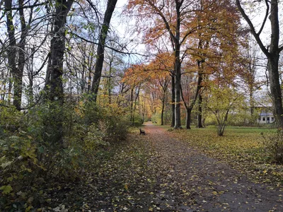 Photo from 11 November 2018