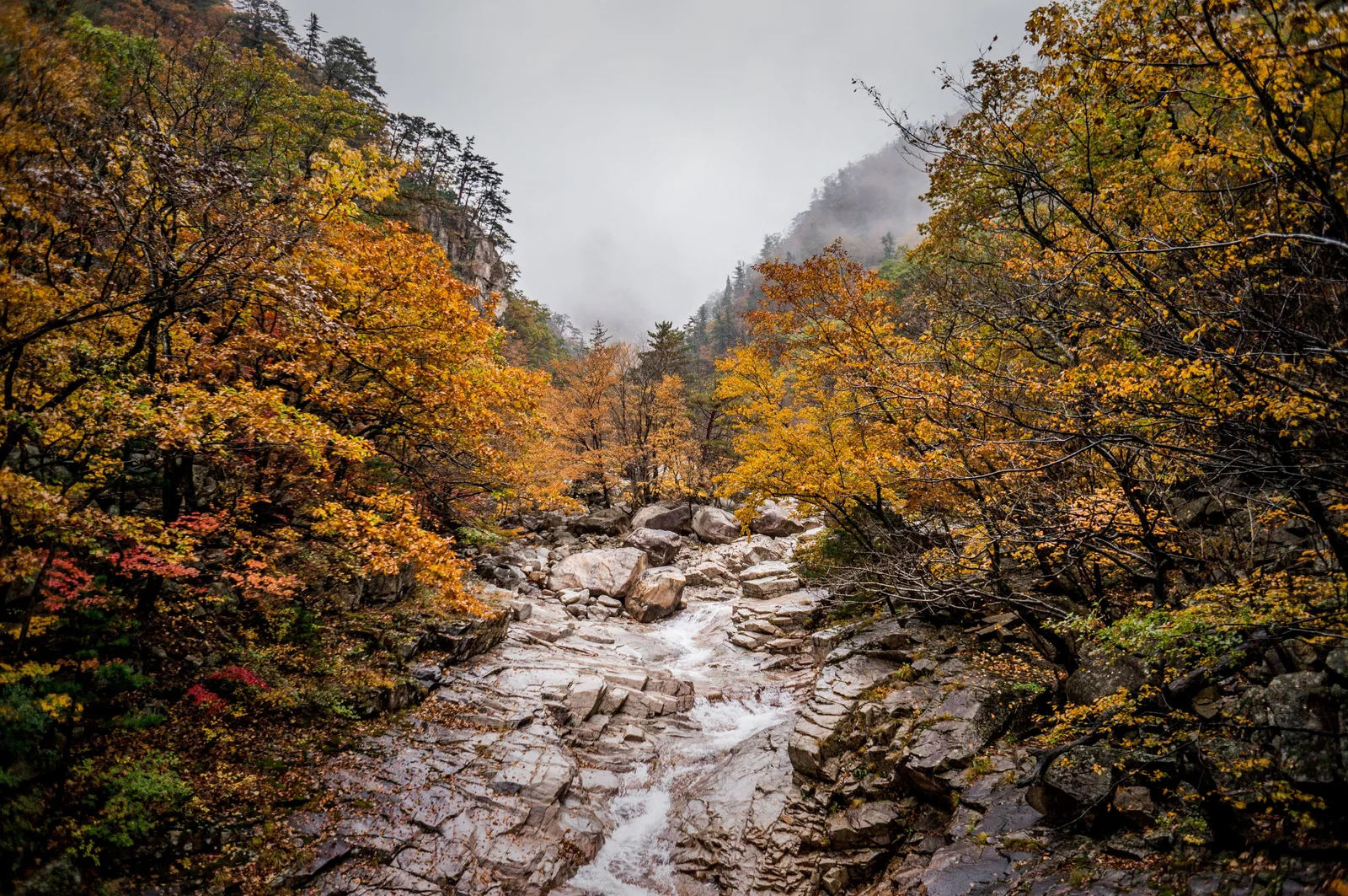 Photo from 21 October 2016
