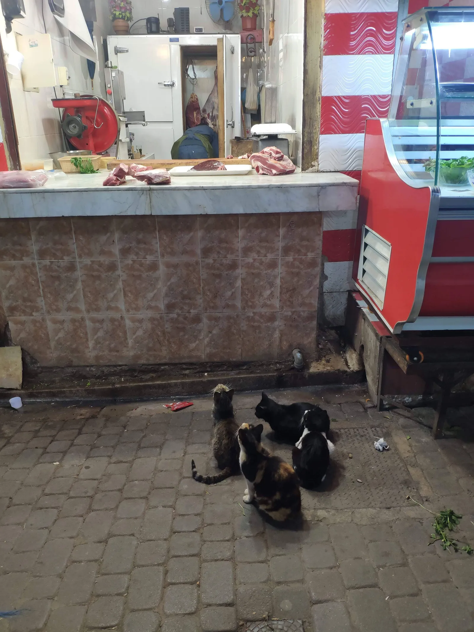 Photo from 14 March 2019