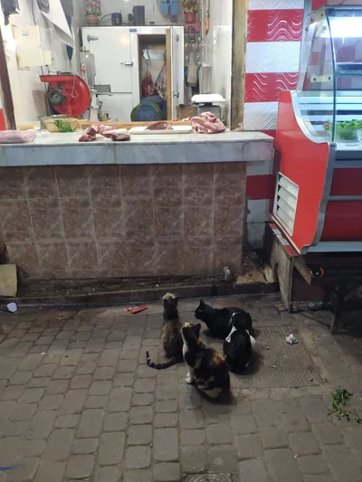 Photo from 14 March 2019