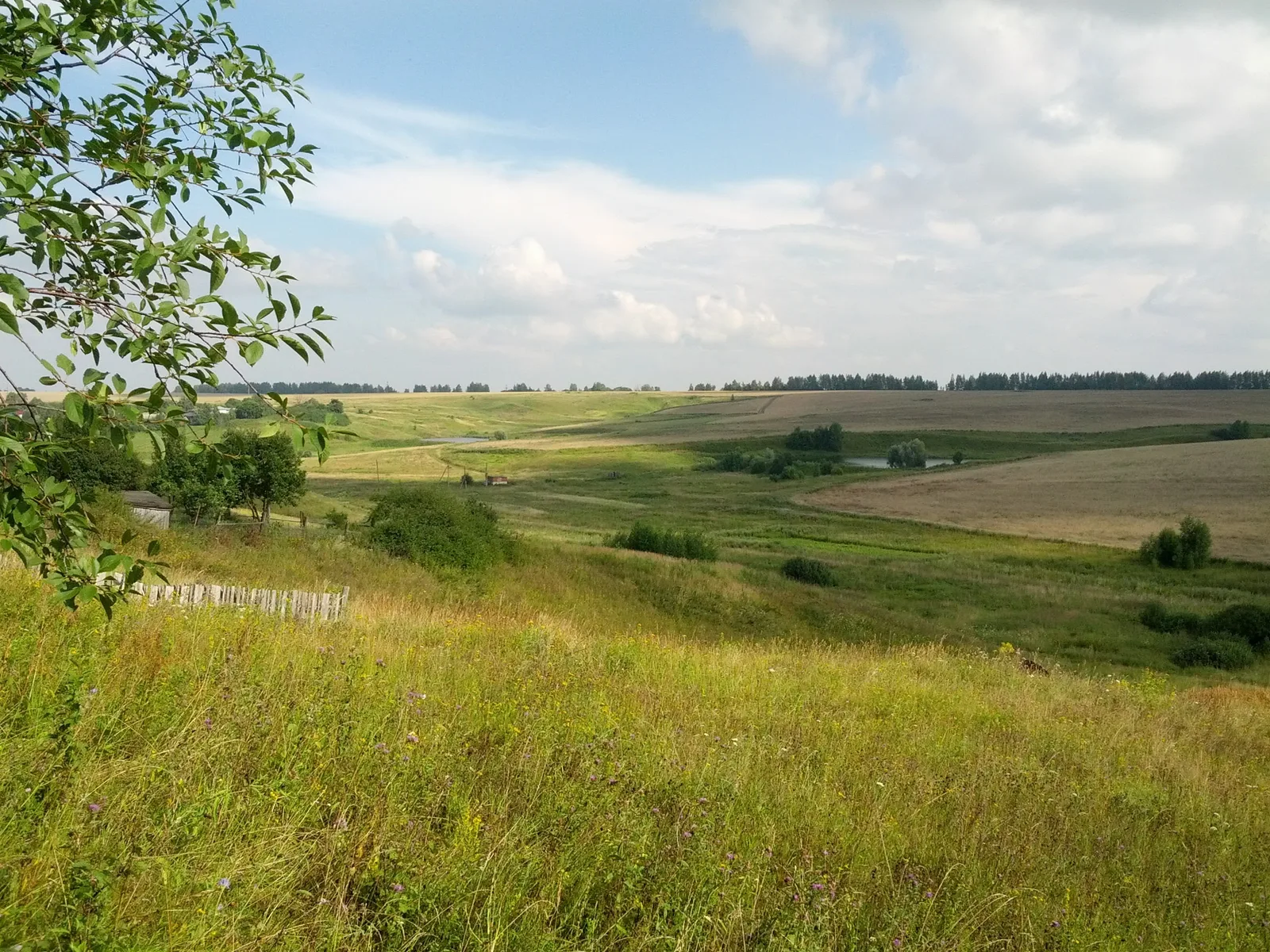 Photo from 30 July 2013