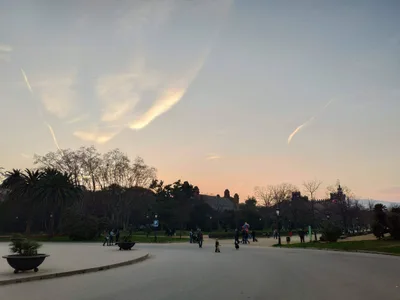 Photo from 10 March 2019