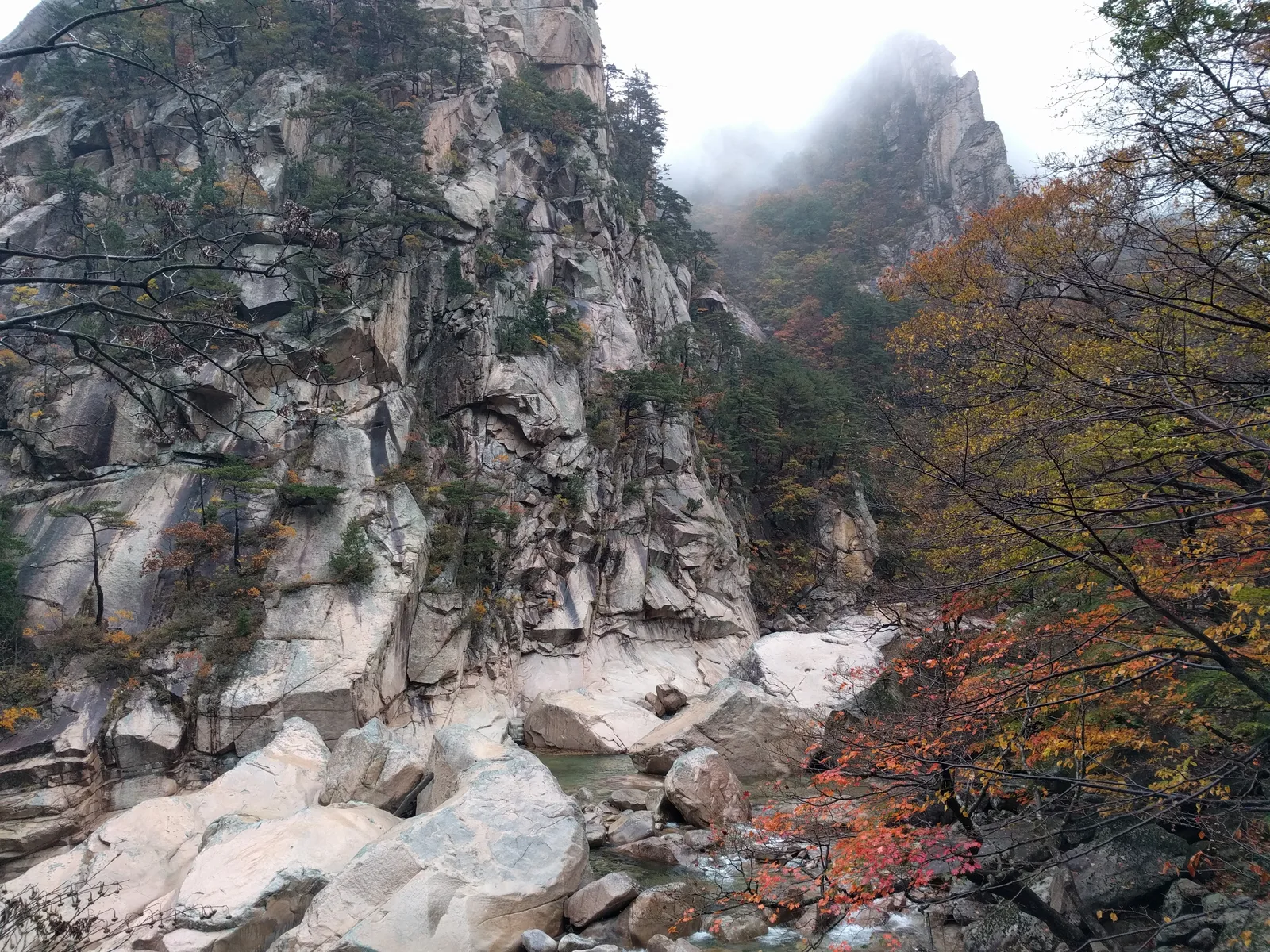 Sokcho, South Korea — 21 October 2016