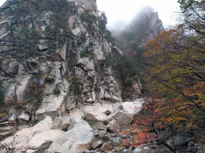 Sokcho, South Korea — 21 October 2016