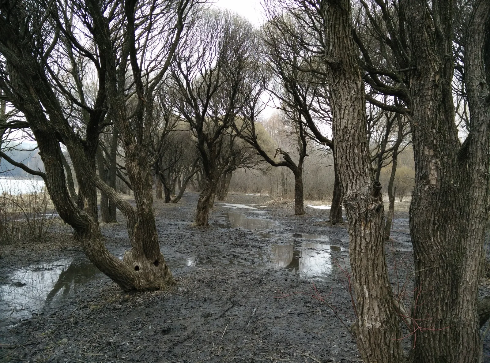 Photo from 21 March 2015