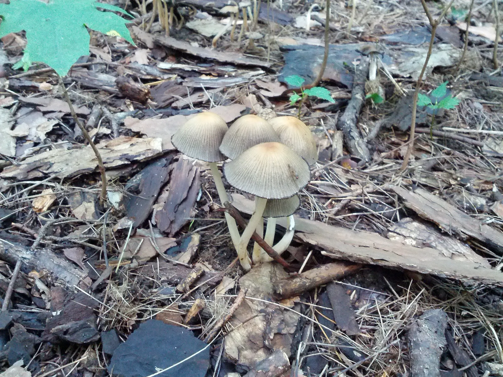 Photo from 3 August 2013