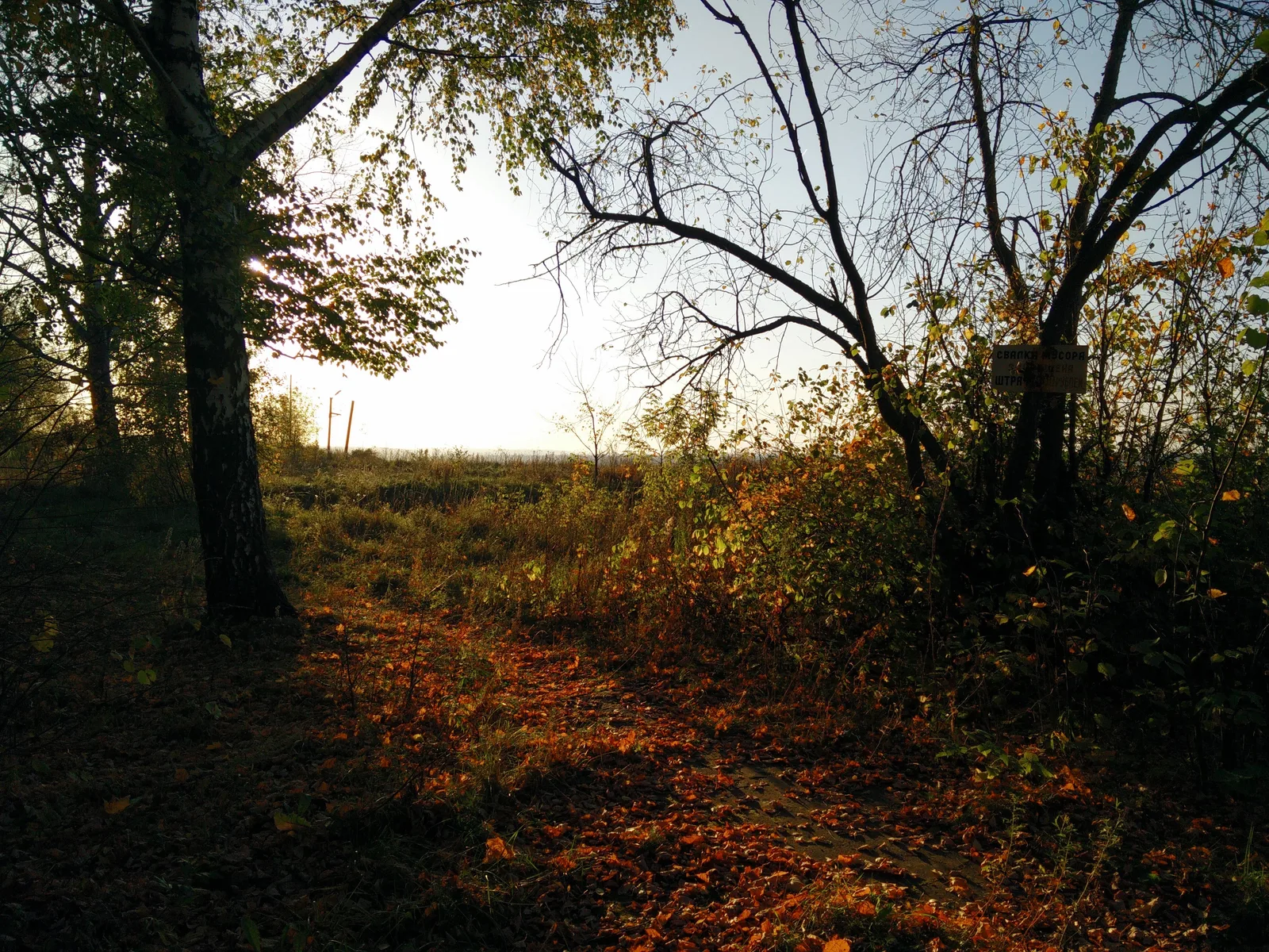Photo from 26 September 2015