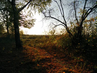 Photo from 26 September 2015