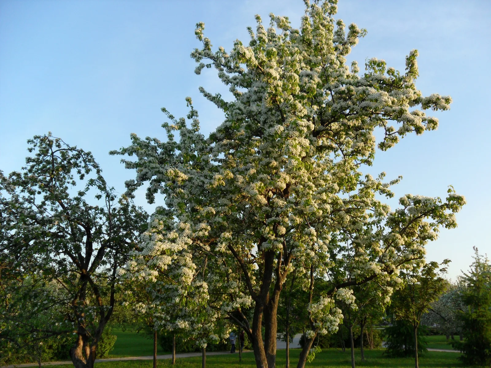 Photo from 16 May 2011
