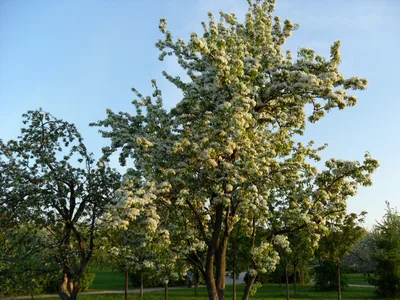 Photo from 16 May 2011
