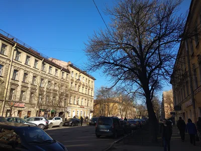 Photo from 11 April 2018