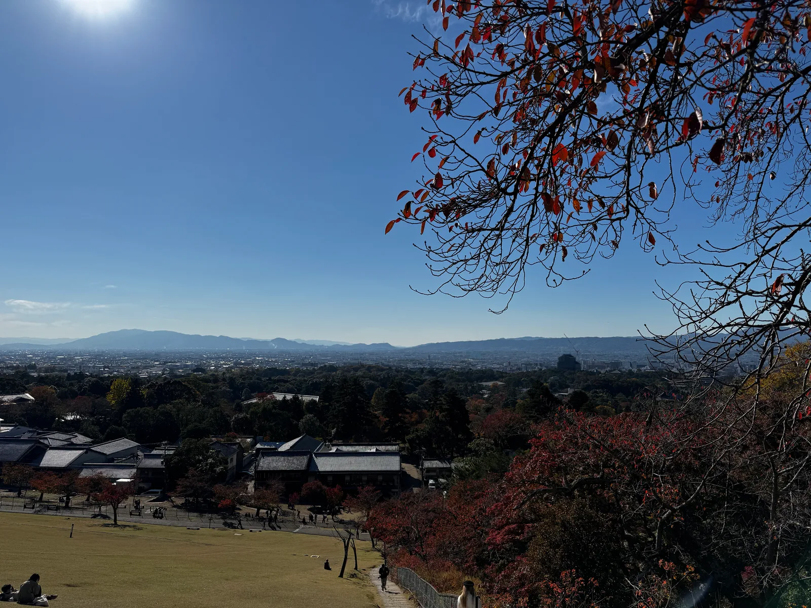 Nara-shi, Japan — 25 November 2024