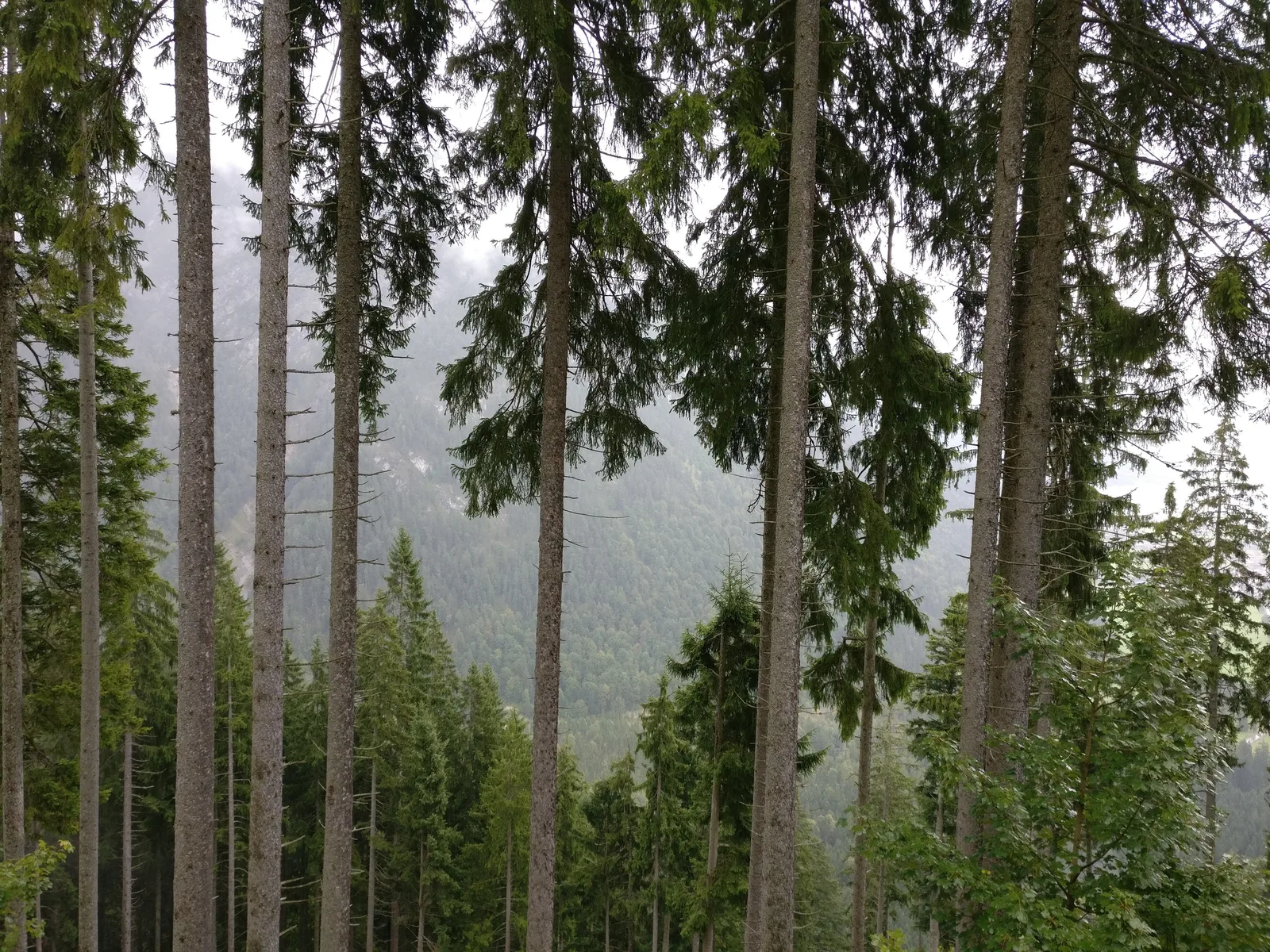 Maurach, Austria — 17 September 2017
