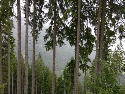 Maurach, Austria — 17 September 2017