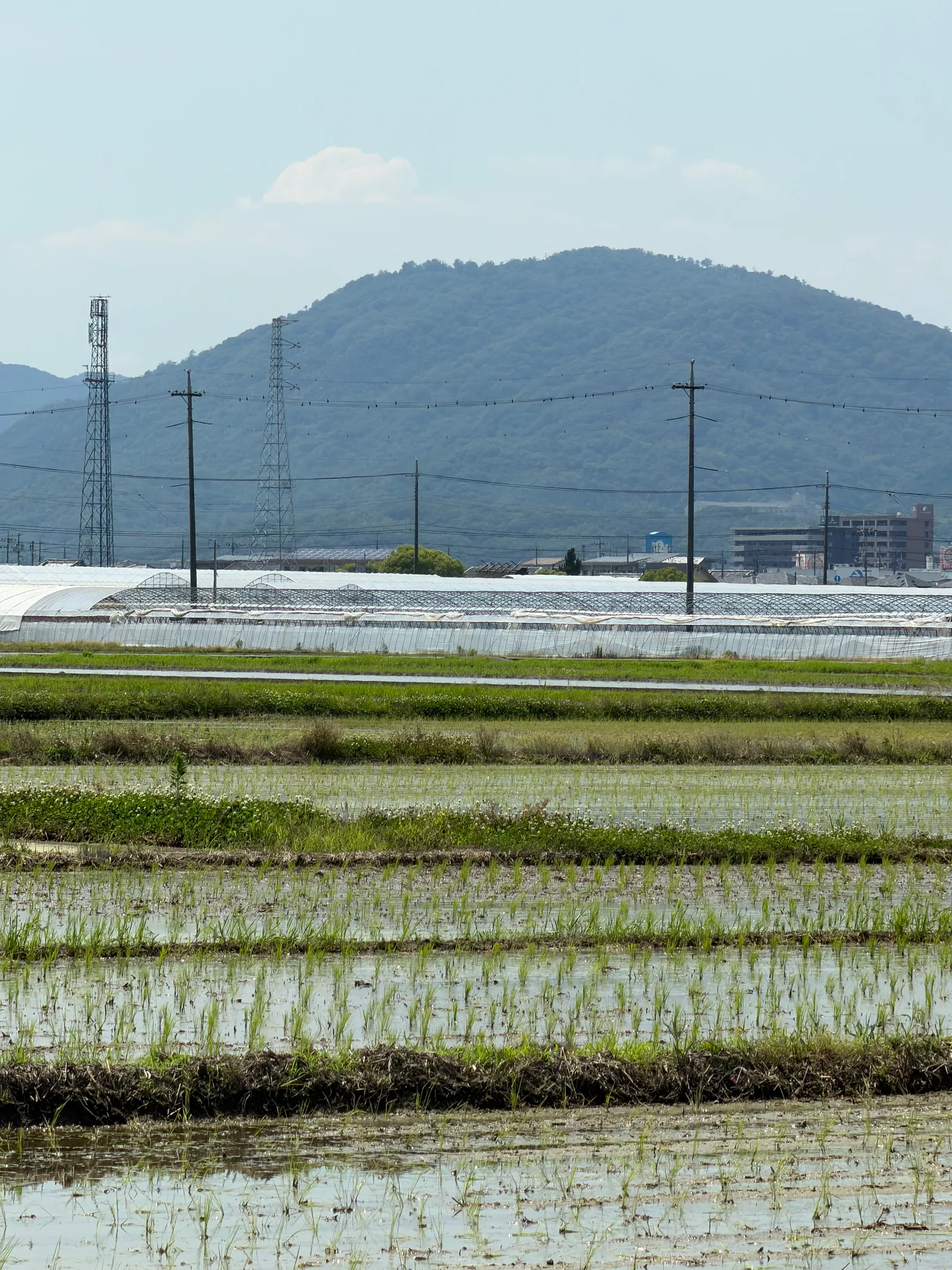 Sōja, Japan — 13 June 2026