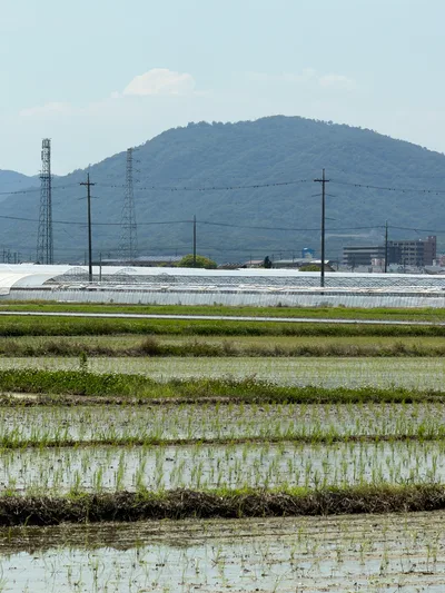 Sōja, Japan — 13 June 2026