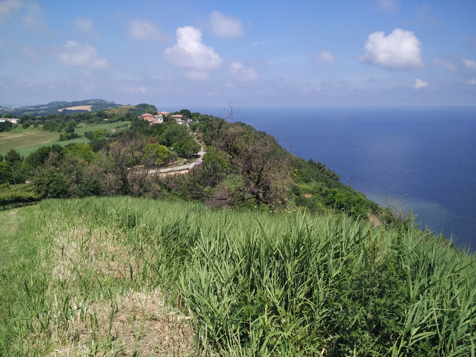 Photo from 13 June 2016