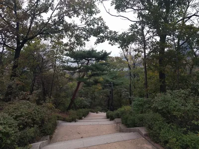 Yongsan-dong, South Korea — 16 October 2016
