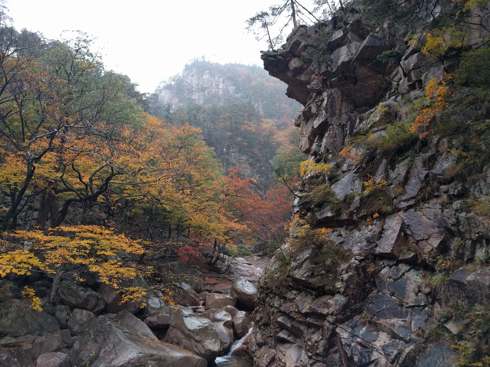Sokcho, South Korea — 21 October 2016