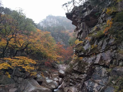 Sokcho, South Korea — 21 October 2016