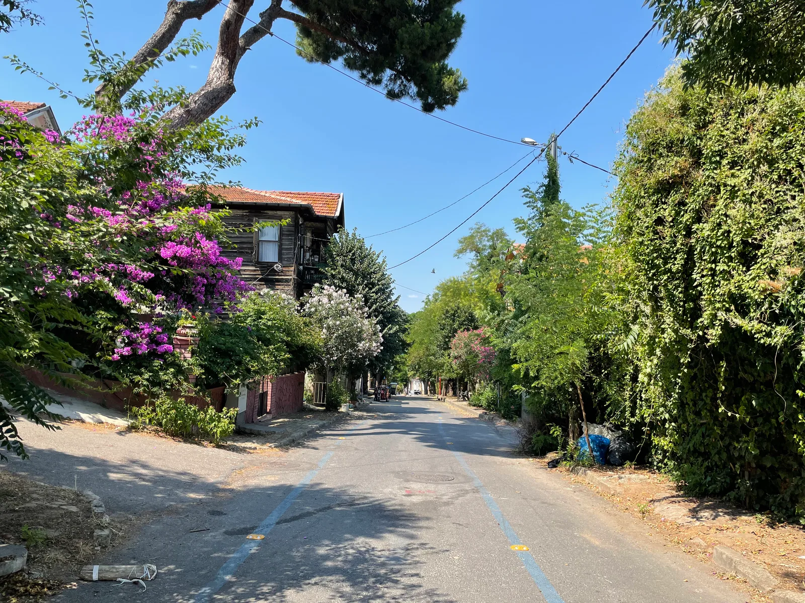 Adalar, Turkey — 26 July 2021