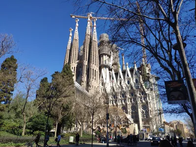 Photo from 10 March 2019