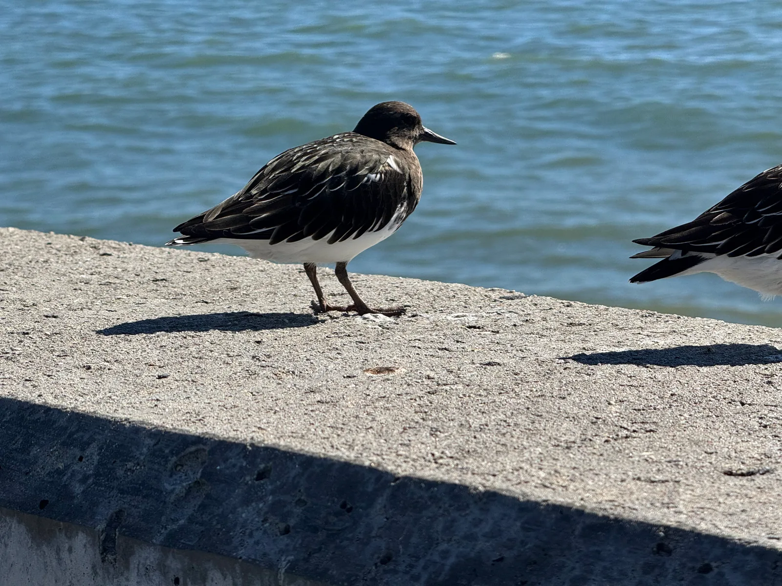 Santa Barbara, United States — 28 October 2025