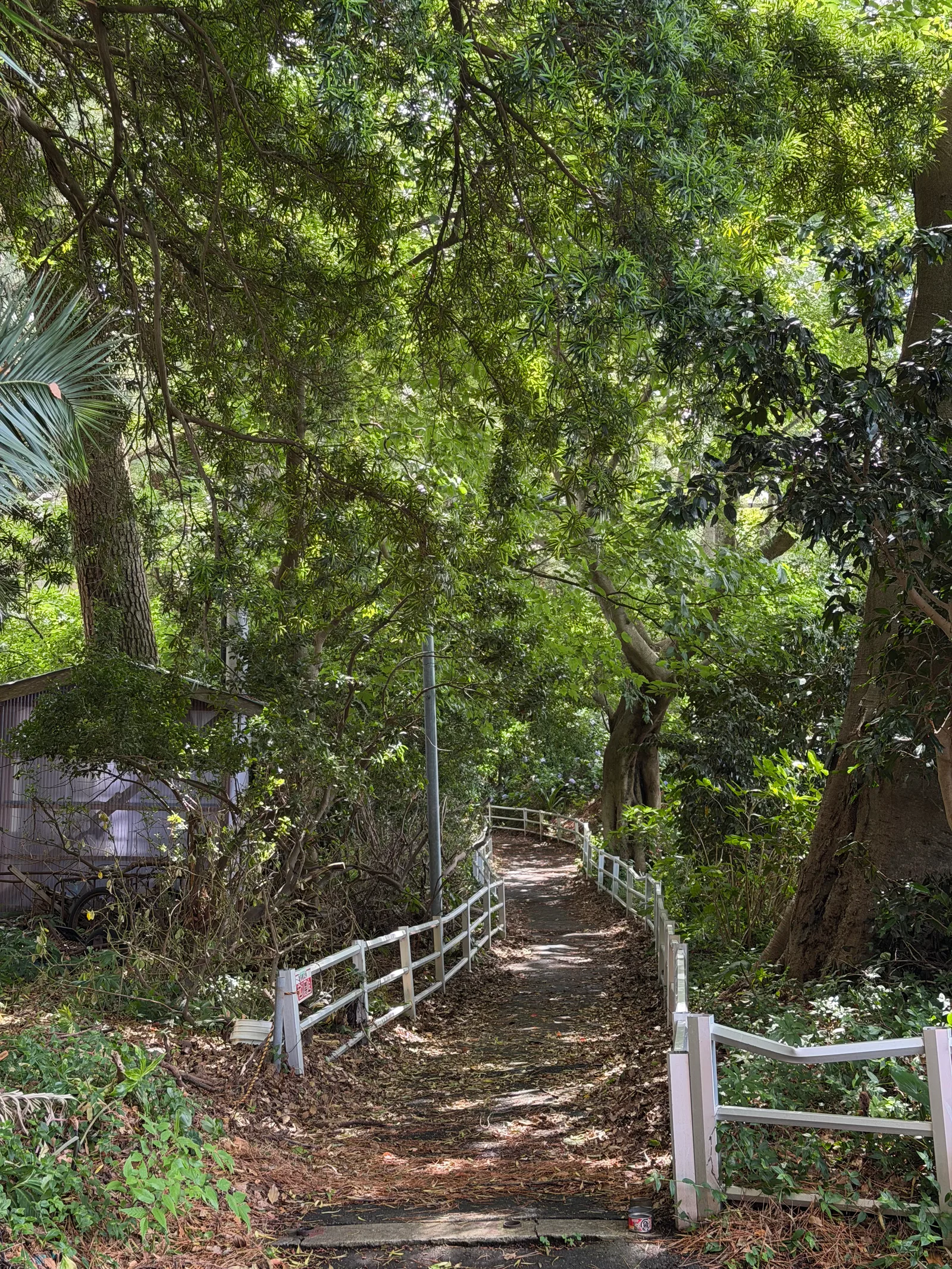 Heda, Japan — 18 June 2026