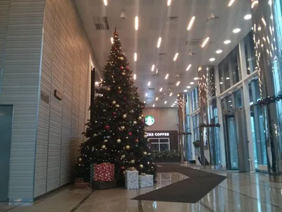 Photo from 28 December 2014