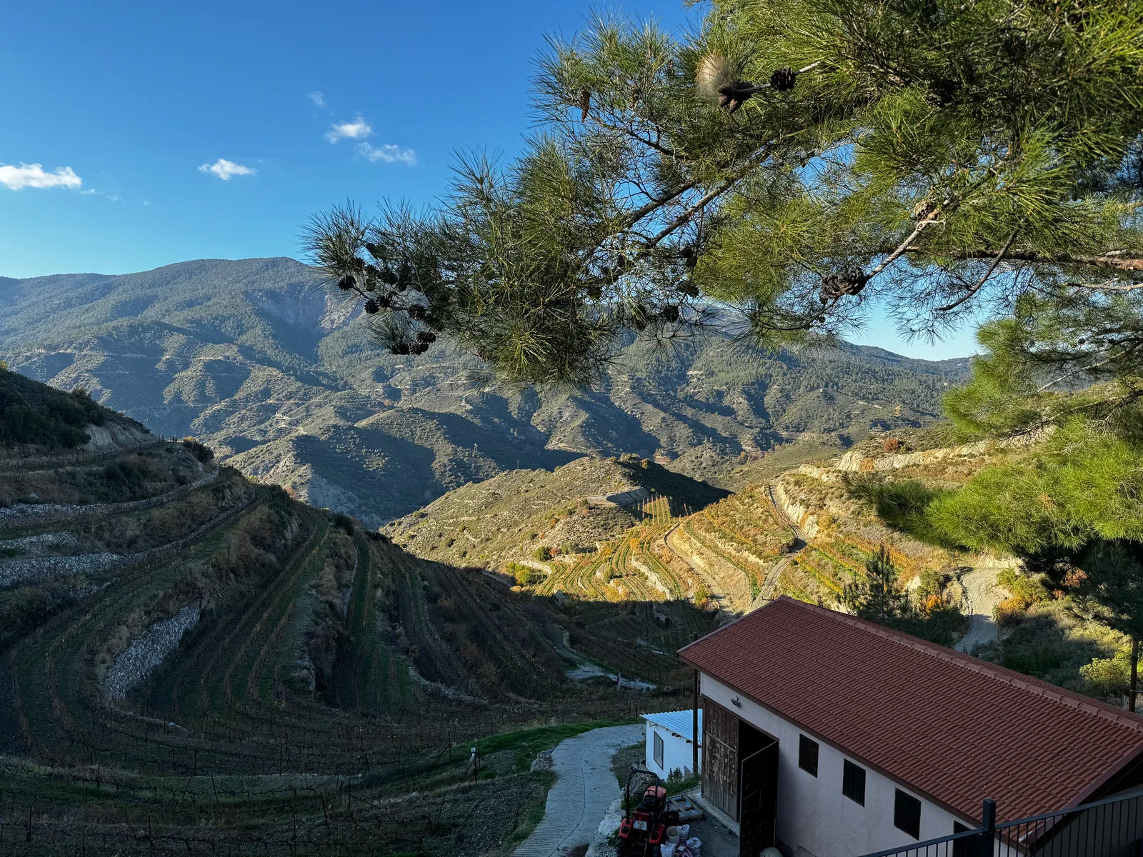 Peléndri, Cyprus — 19 December 2023