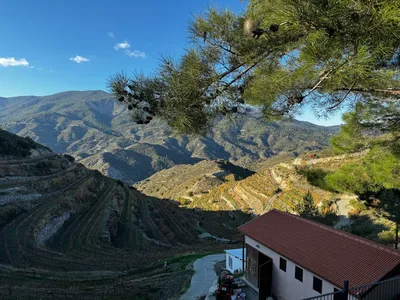 Peléndri, Cyprus — 19 December 2023
