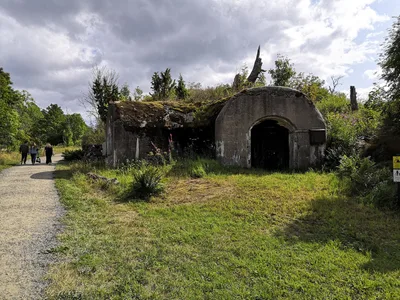 Photo from 3 August 2019