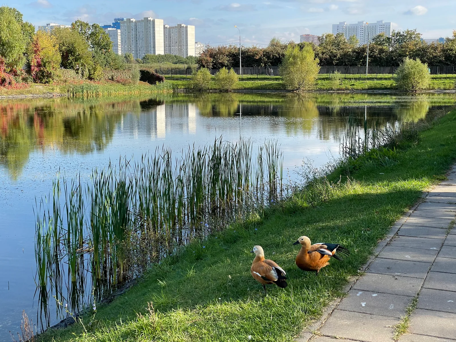 Likhobory, Russia — 18 September 2021