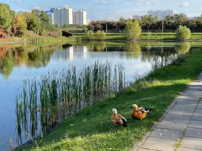 Likhobory, Russia — 18 September 2021