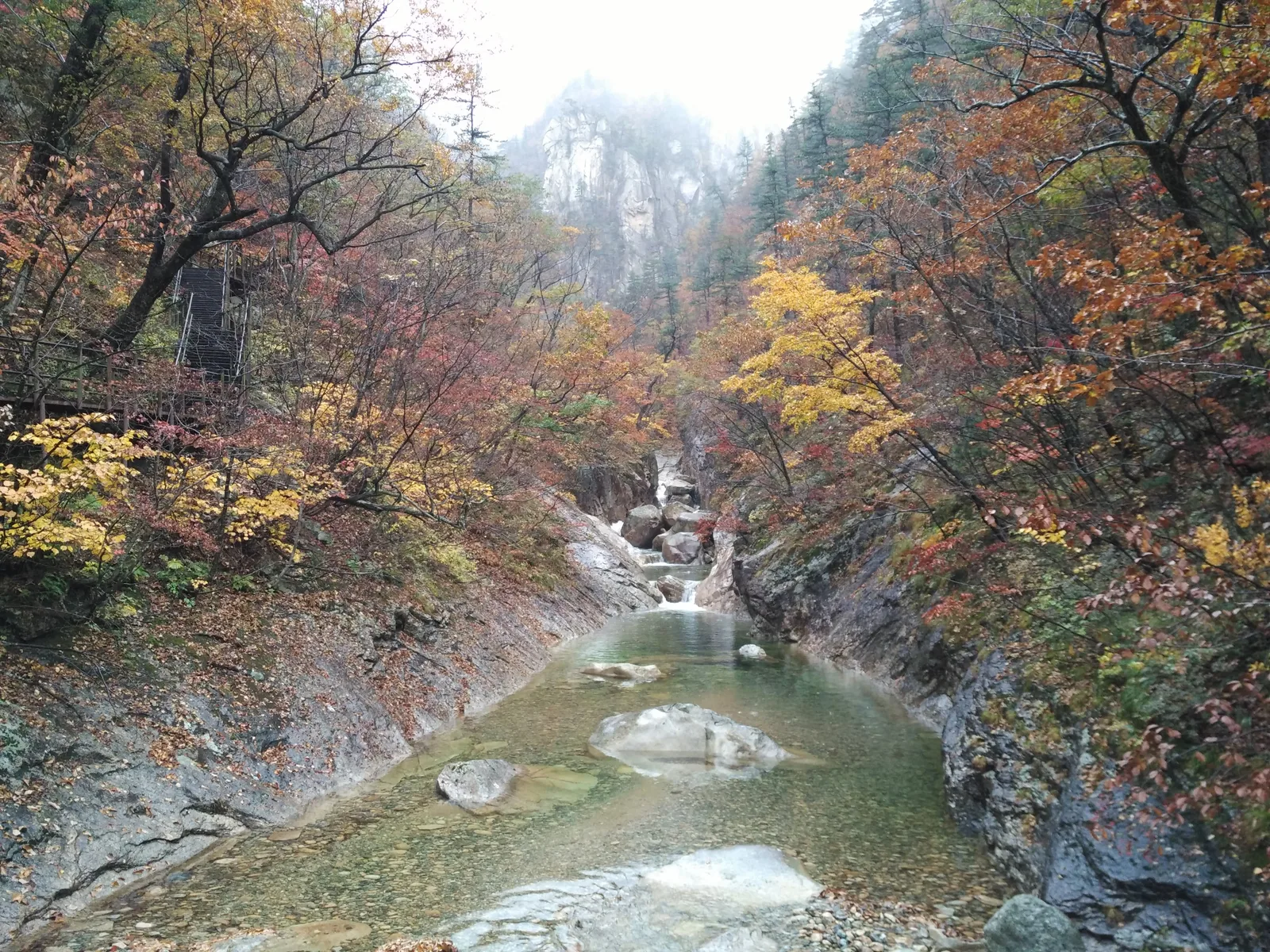 Photo from 21 October 2016