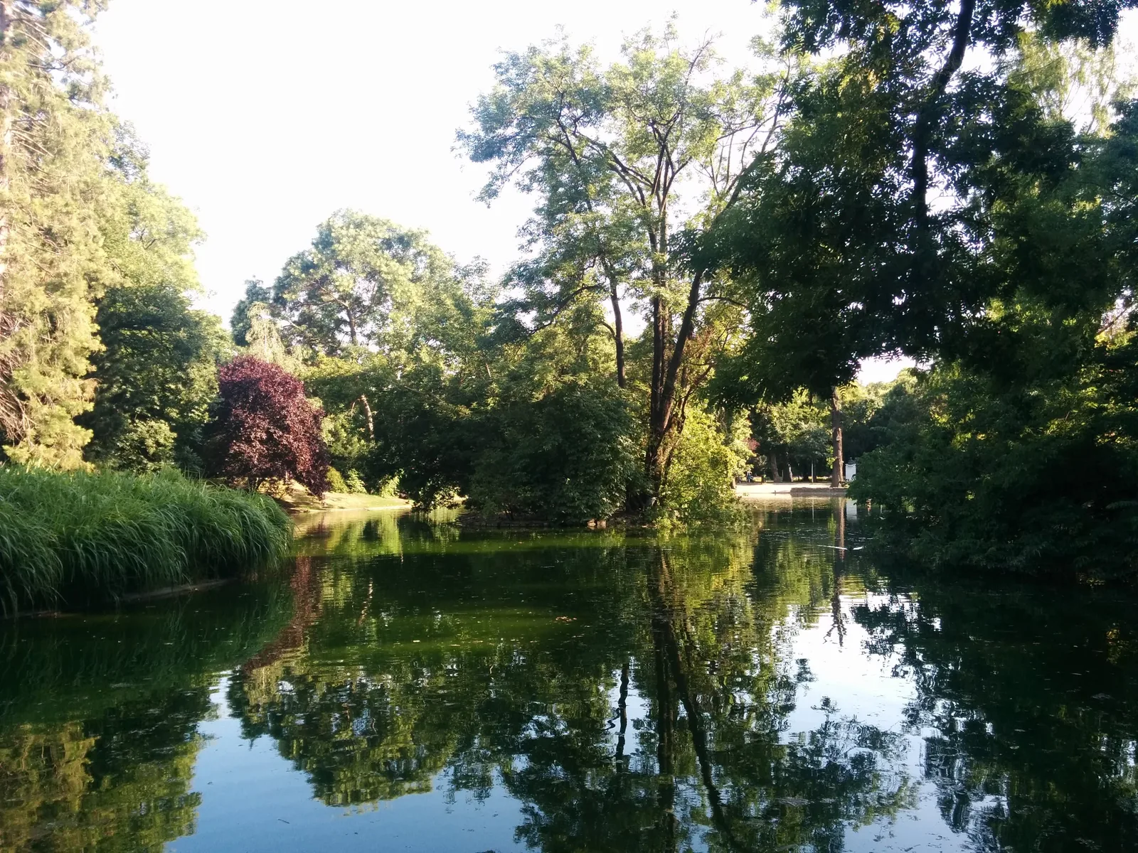 Photo from 11 July 2015