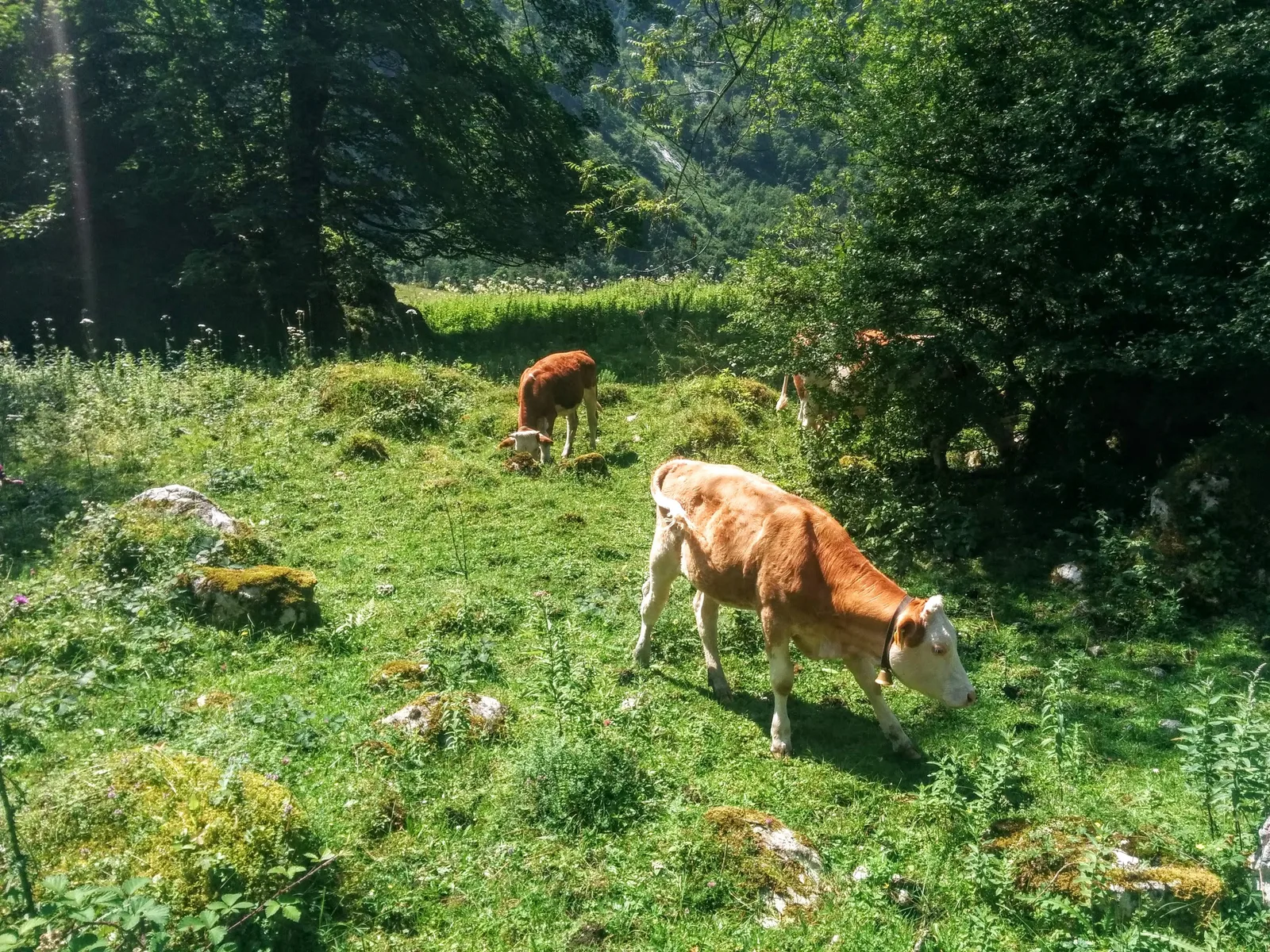 Photo from 15 July 2015