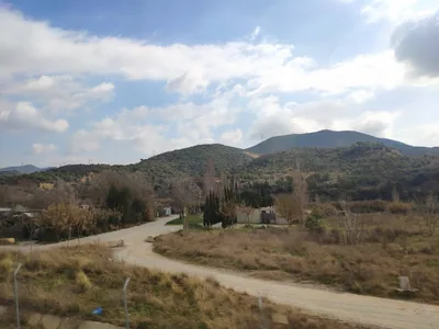 Photo from 11 March 2019