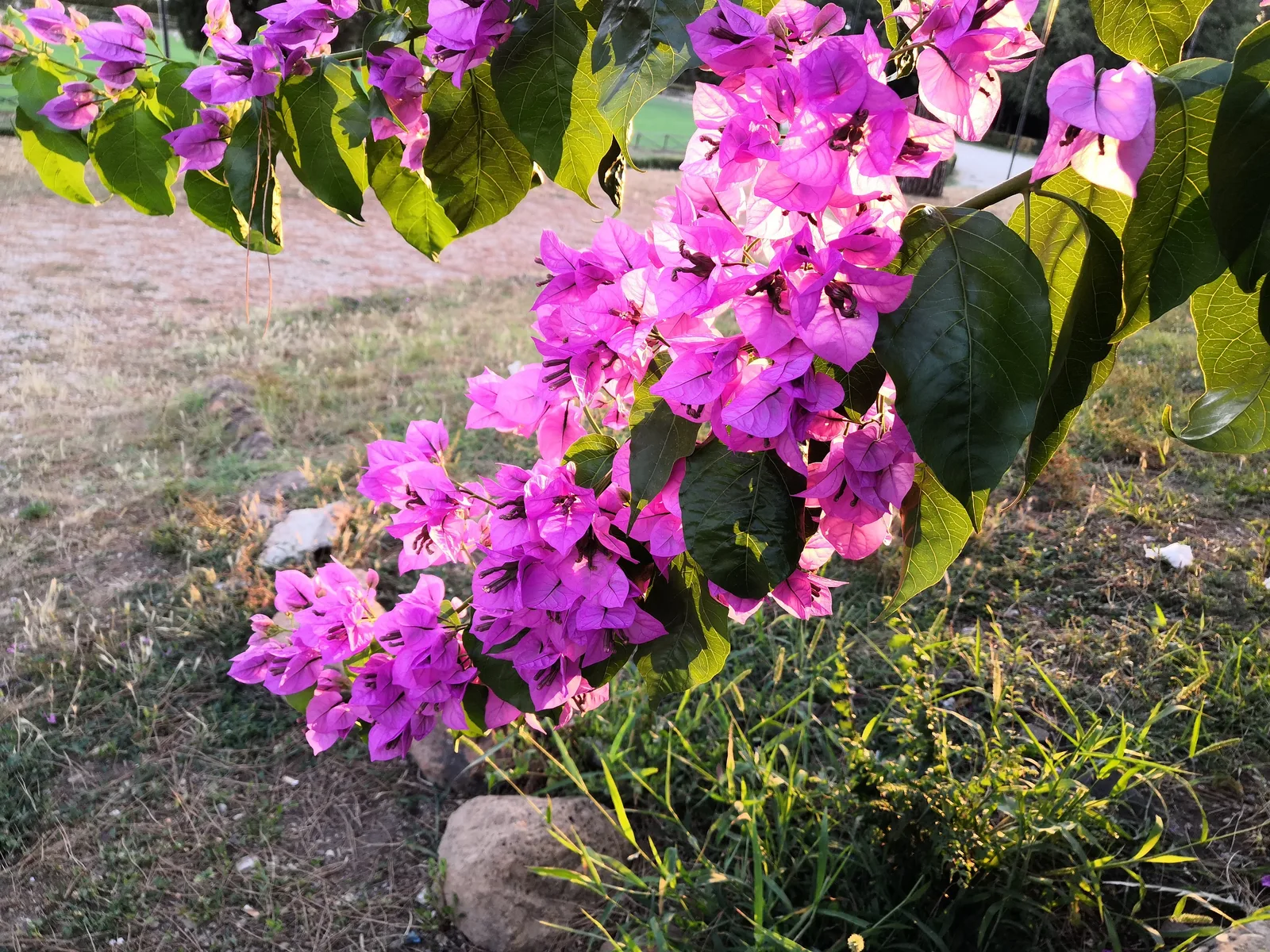 Photo from 19 July 2019