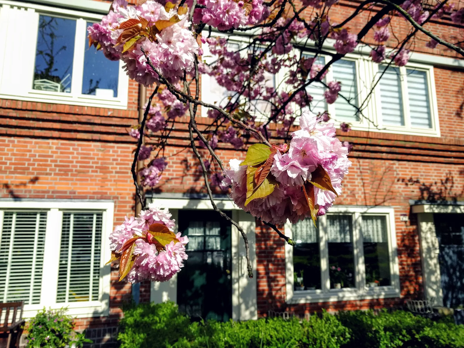 Photo from 25 April 2016