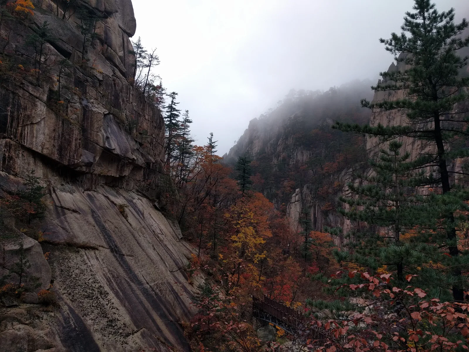 Sokcho, South Korea — 21 October 2016