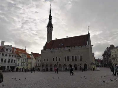 Tallinn, Estonia — 5 November 2018