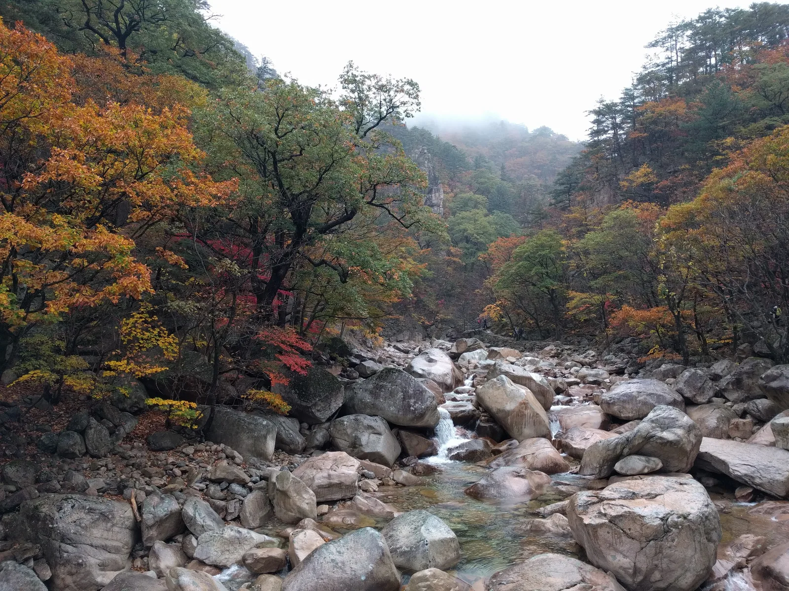 Sokcho, South Korea — 21 October 2016