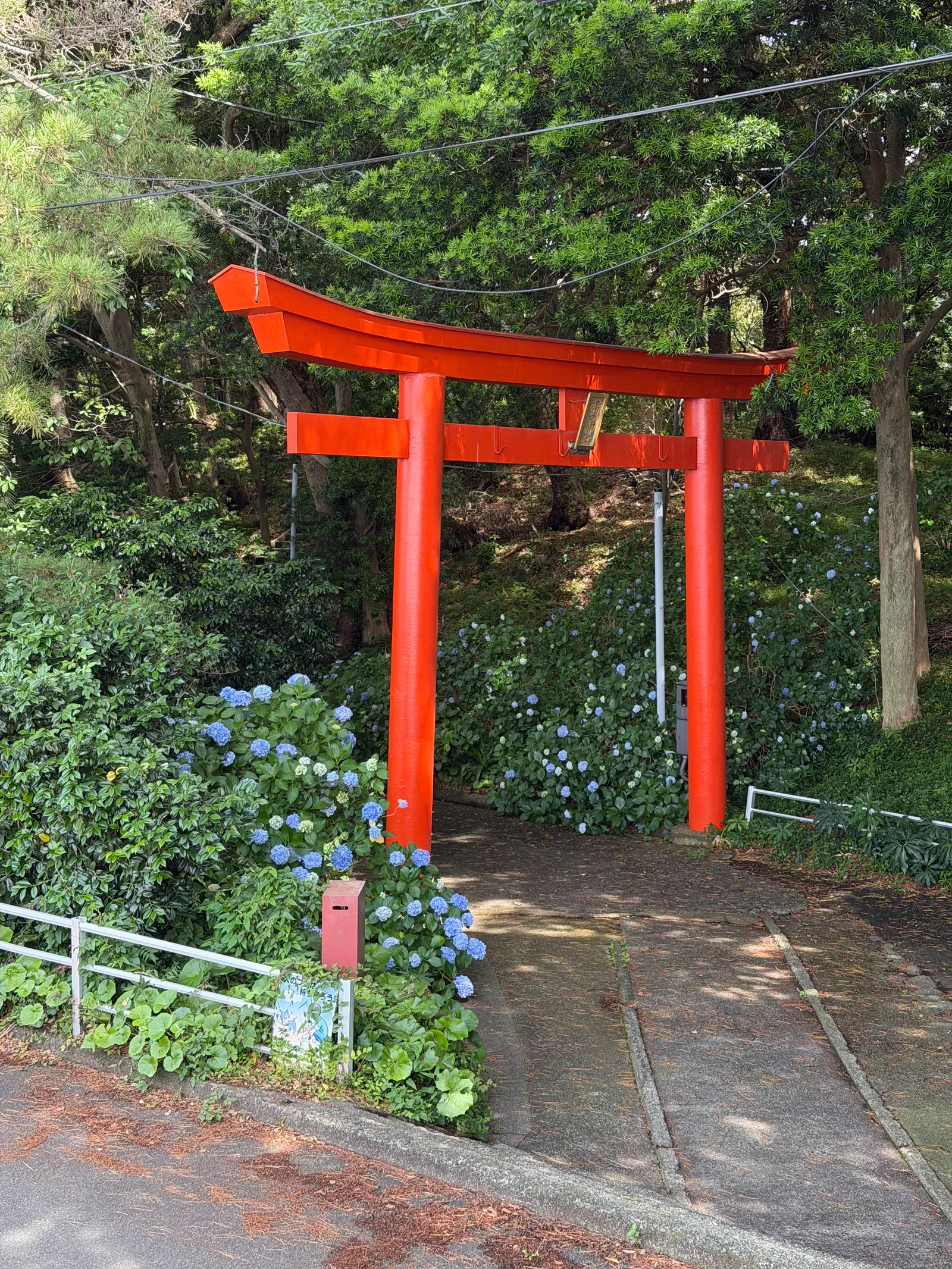 Heda, Japan — 18 June 2026