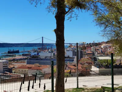 Photo from 20 March 2019