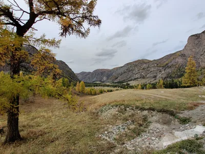 Aktash, Russia — 24 September 2020
