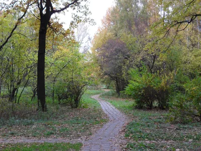 Photo from 11 October 2010