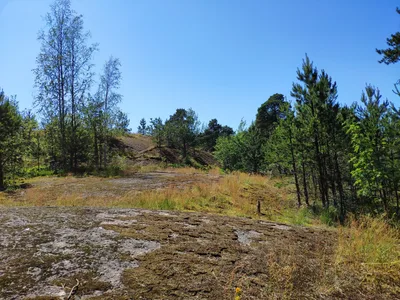Photo from 16 June 2019