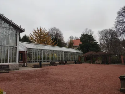 Alppila, Finland — 6 November 2018