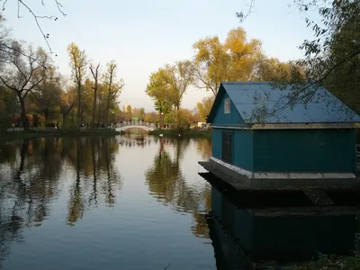Photo from 20 October 2012